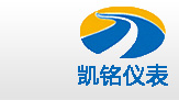 金湖蘑菇视频红色LOGO旧版本仪表有限公司LOGO